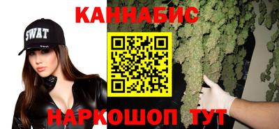 стафф Волгодонск