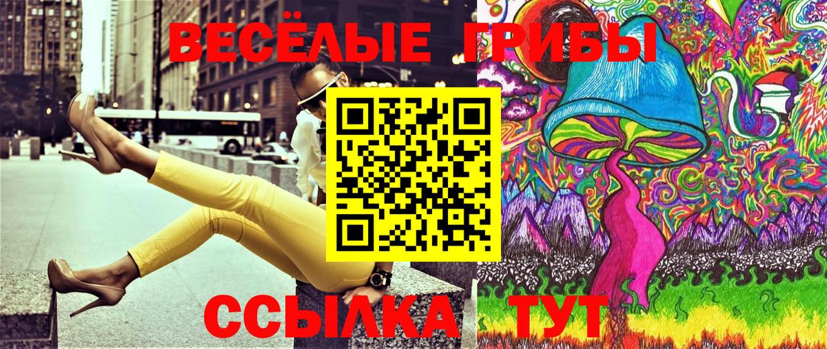 Саранск  Галлюциногенные грибы мицелий  где можно купить наркотик  Вход с VPN 